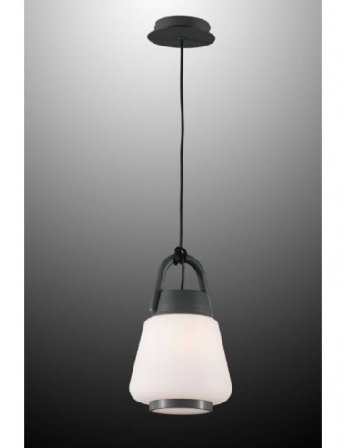 Lámpara de techo rústica gris oscuro IP44 - BRI L